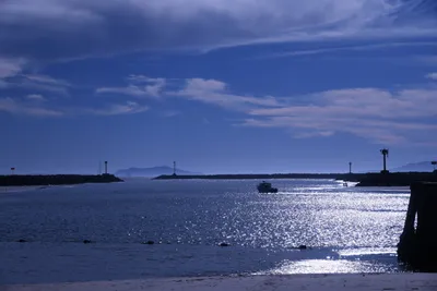 DSC_0808 (Large).JPG